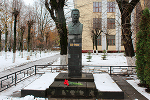 Цветы - М.В. Фрунзе